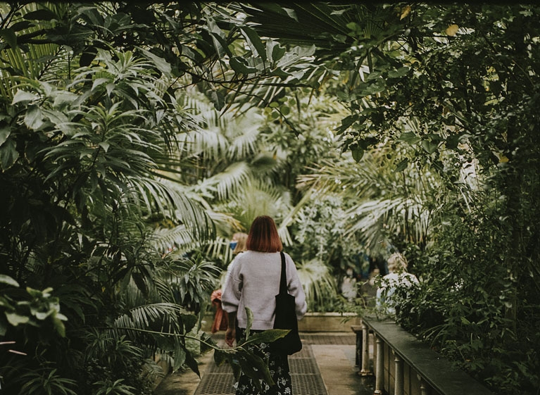 A Garden Oasis Among the Stars Unveiling  Botanical Wonders